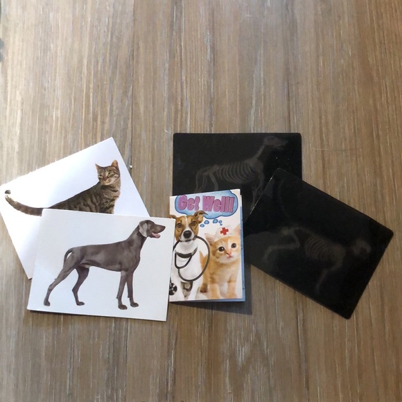 Our generation Vet set (doll sized) - Picture 2 of 5